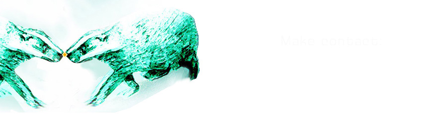 make contact image of badgers noses touching